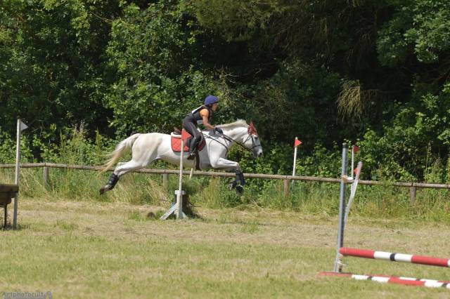 vendo sella italiano di 13 anni