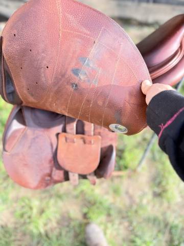 Sella da salto ostacoli Meyer  17" - 2020