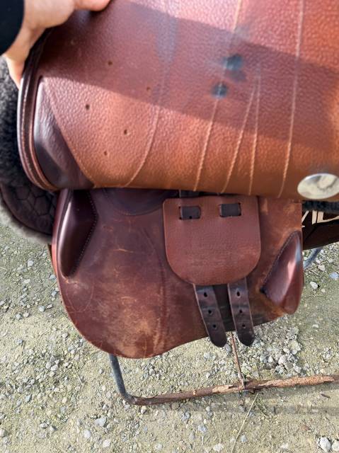 Sella da salto ostacoli Meyer Marianne  17" - 2024