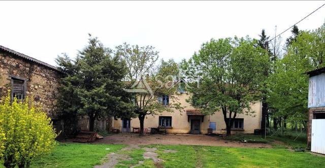 Azienda cerealicola In vendita tarn