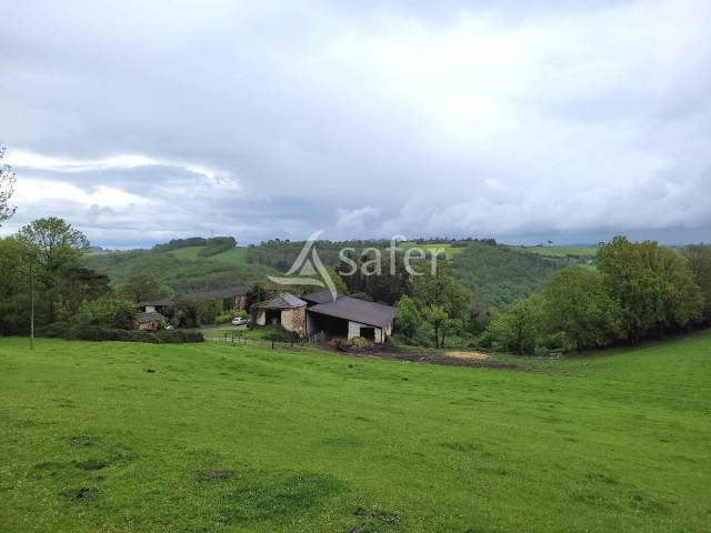 Azienda cerealicola In vendita tarn