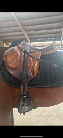 Sella da salto ostacoli Devoucoux  17.5" - 2018