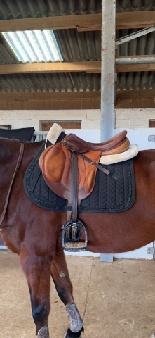 Sella da salto ostacoli Devoucoux  17.5" - 2018