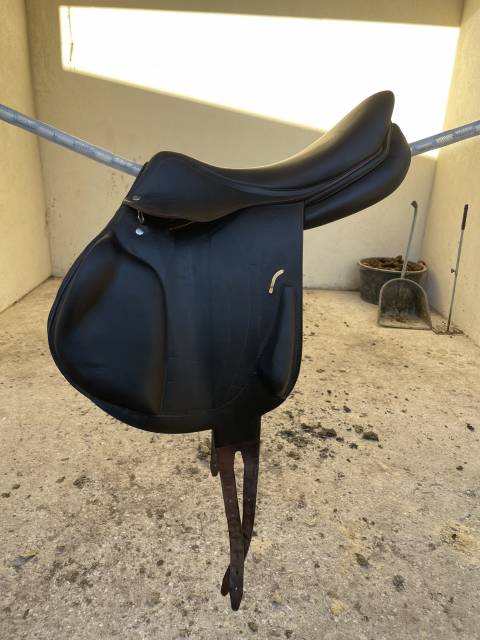 Sella da salto ostacoli Arion  17" - 2023