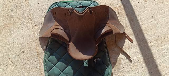 Sella da endurance Wintec  17.5" - 2024