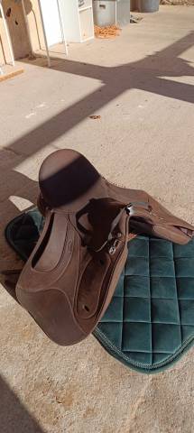 Sella da endurance Wintec  17.5" - 2024