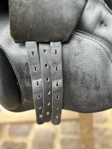 Sella da salto ostacoli Prestige Italia  18" - 2018