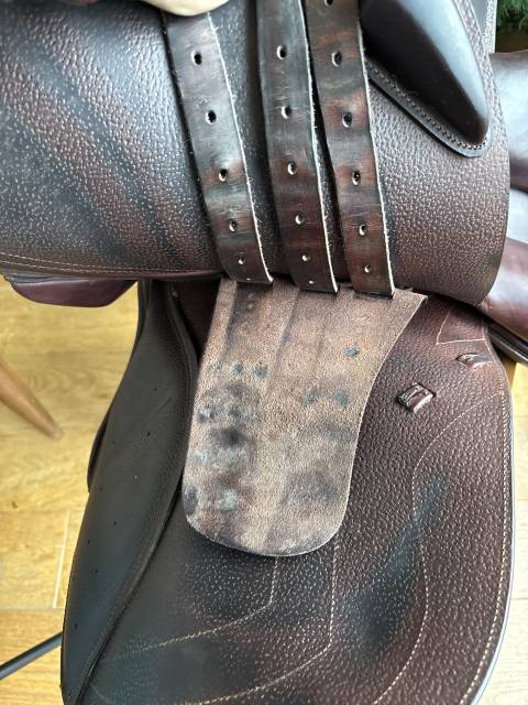 Sella mista CWD  17.5" - 2017