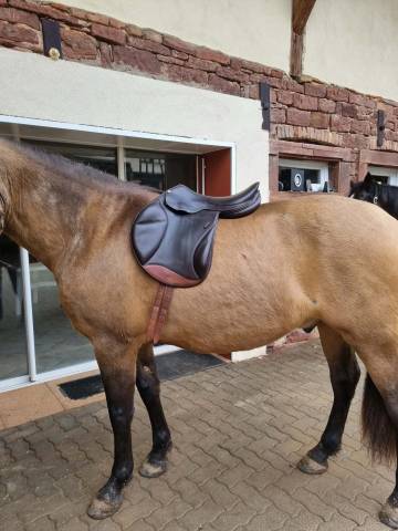 Sella da salto ostacoli Forestier  17" - 2007