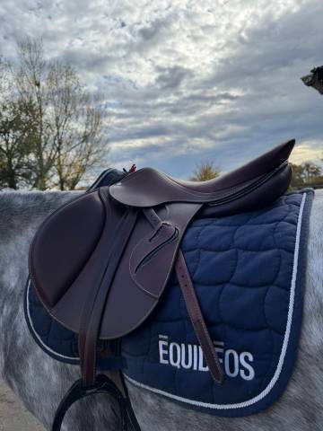 Sella da salto ostacoli Antarès  17.5" - 2025