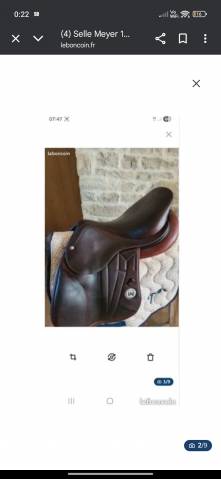 Sella da salto ostacoli Meyer  17" - 2021