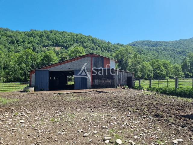 Azienda agricola In vendita Ariège