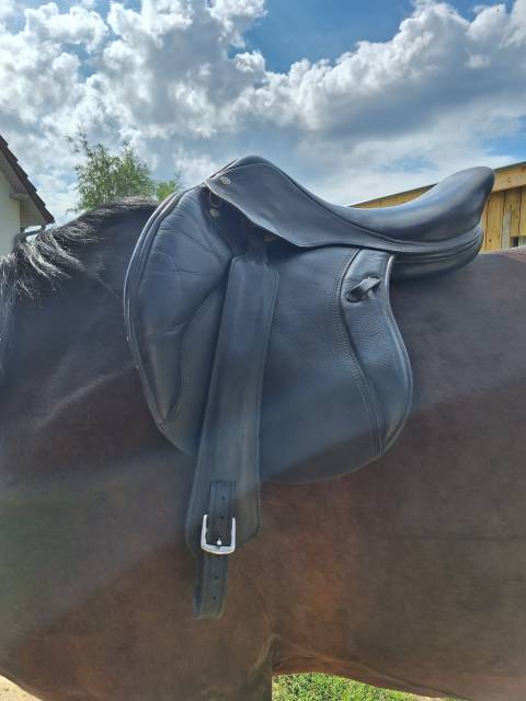 Altra sella  Fleur de Lys 17" - 2014