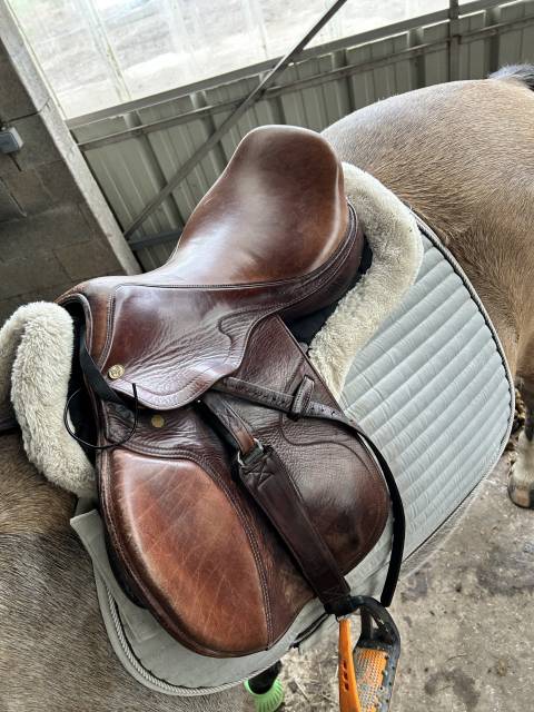 Sella da salto ostacoli Eric Thomas Je ne connais pas le modèle  17.5" - 2015