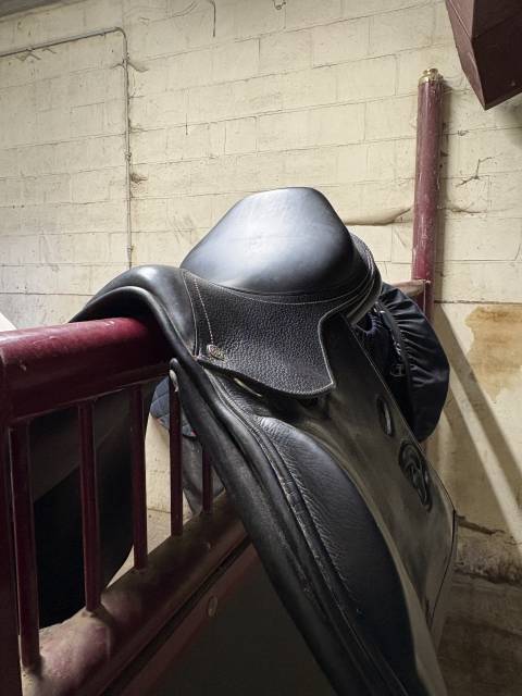 Sella mista Privil&egrave;ge Equitation  17.5" - 2021