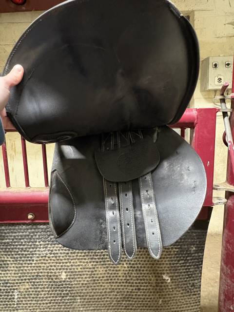 Sella mista Privil&egrave;ge Equitation  17.5" - 2021