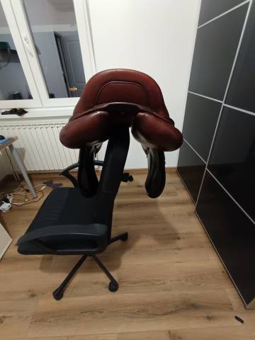 Sella da salto ostacoli CWD Se 02 18" - 2019