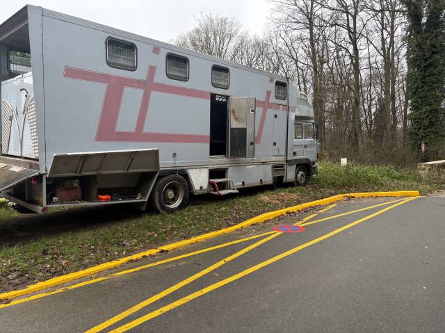 Camion per Cavalli Renault Mildium 1985 Occasione