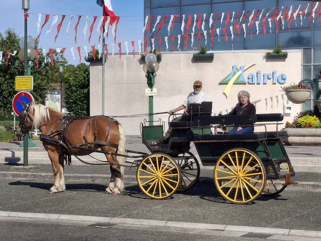 Attacchi - Marathon ricreazione - Altra marca - sandra 