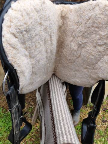 Sella western Barefoot   16" - 2015