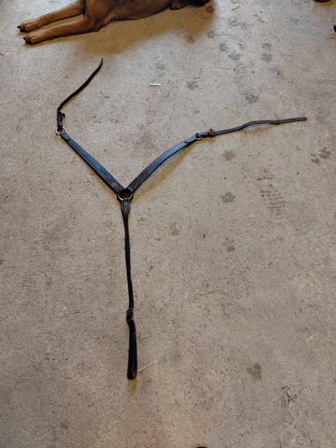 Sella western Randols  17" - 2010