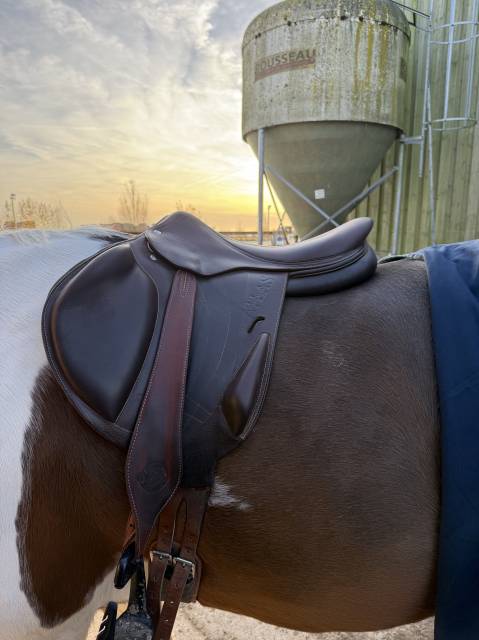 Sella da salto ostacoli Arion Atlas  17.5" - 2022