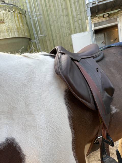 Sella da salto ostacoli Arion Atlas  17.5" - 2022