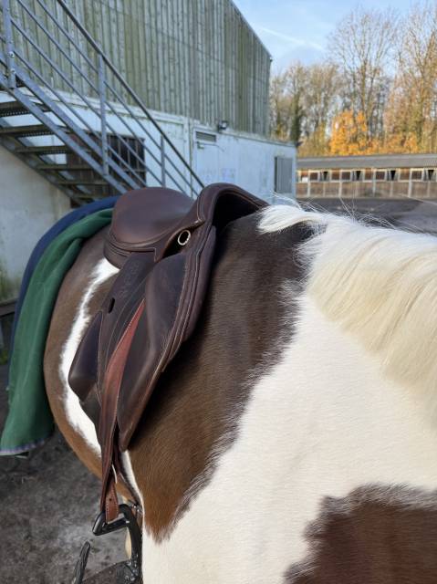 Sella da salto ostacoli Arion Atlas  17.5" - 2022