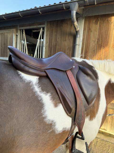 Sella da salto ostacoli Arion Atlas  17.5" - 2022