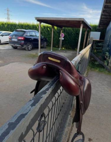 Sella da salto ostacoli CWD SE03  17.5" - 2016