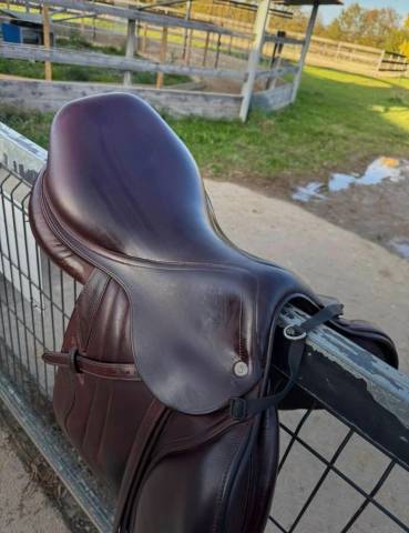 Sella da salto ostacoli CWD SE03  17.5" - 2016