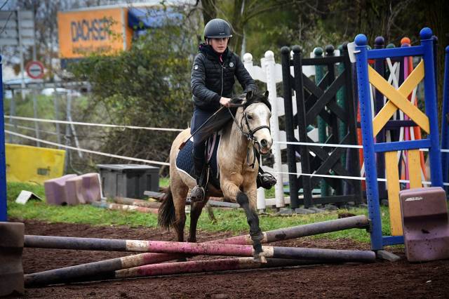 Castrone Welsh Poney (Sezione A) In vendita 2021 Isabella