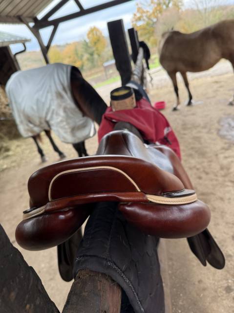 Sella da salto ostacoli CWD  17.5" - 2023