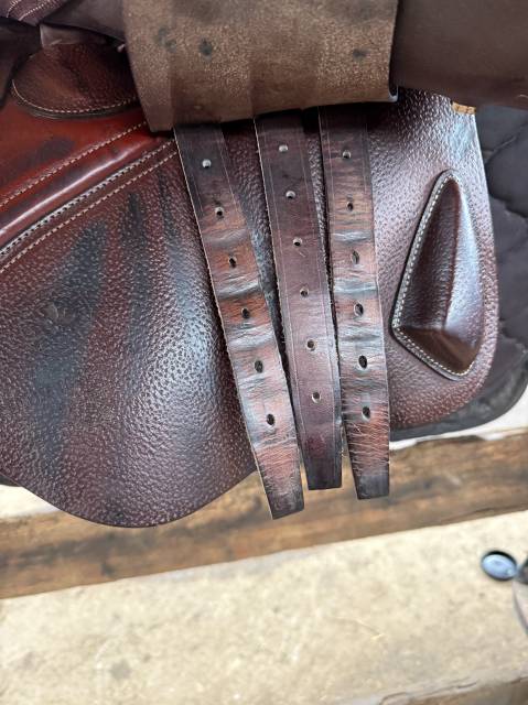 Sella da salto ostacoli CWD  17.5" - 2023