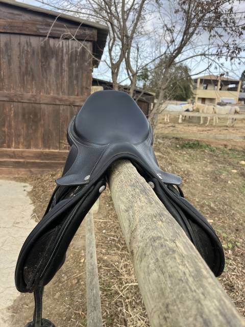 Sella mista Privil&egrave;ge Equitation  17.5" - 2022