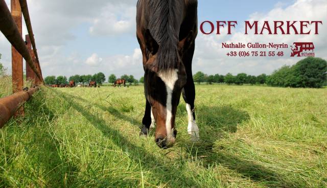 Proprietà equestre In vendita Saône-et-Loire