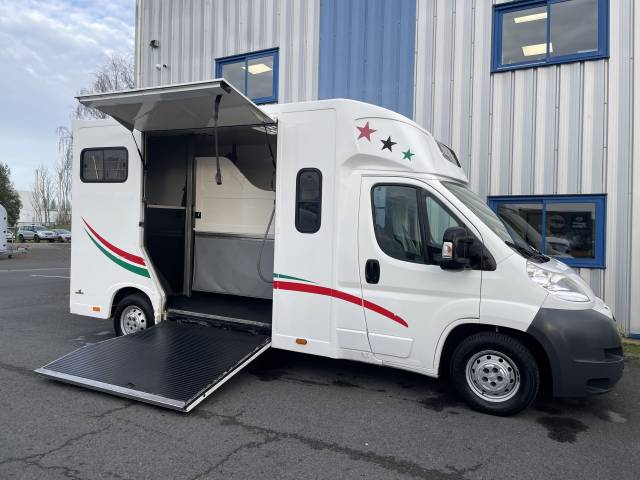 Van per Cavalli Ameline Boxer 2014 Occasione