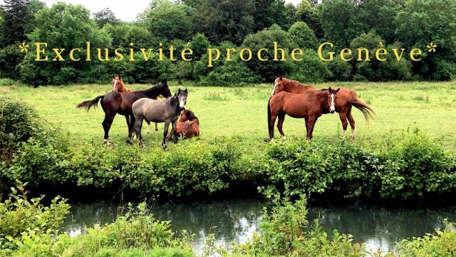 Scuderia per proprietari In vendita 