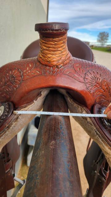 Sella western   16" - 2021