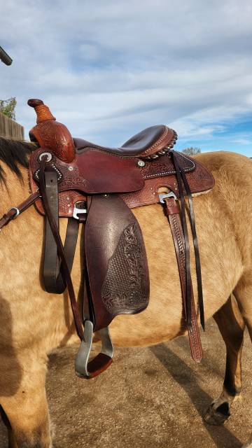 Sella western   16" - 2021