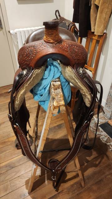 Sella western   16" - 2021