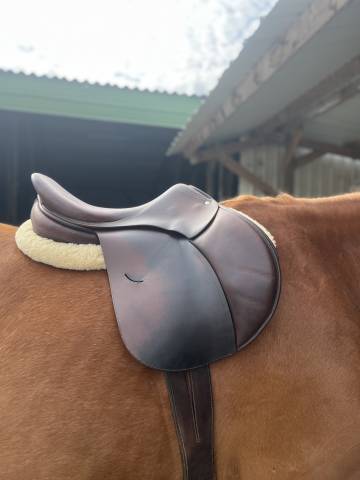 Sella mista Childeric  18" - 2012