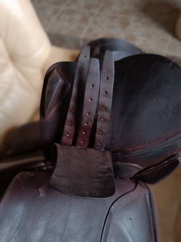 Sella da salto ostacoli CWD  17.5" - 2014