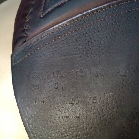 Sella da salto ostacoli CWD  17.5" - 2014