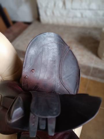 Sella da salto ostacoli CWD  17.5" - 2014