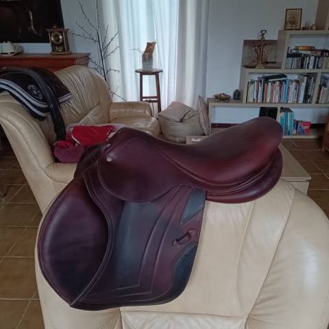 Sella da salto ostacoli CWD  17.5" - 2014