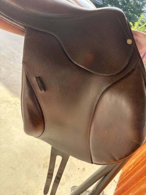 Sella mista Forestier  17" - 2017