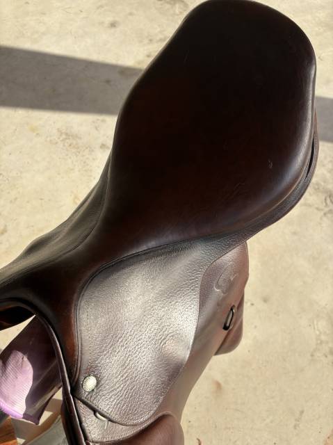 Sella mista Forestier  17" - 2017