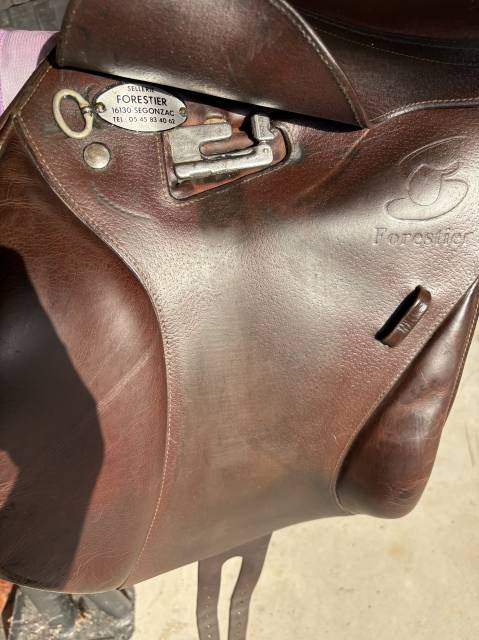 Sella mista Forestier  17" - 2017