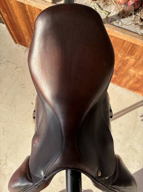 Sella mista Forestier  17" - 2017